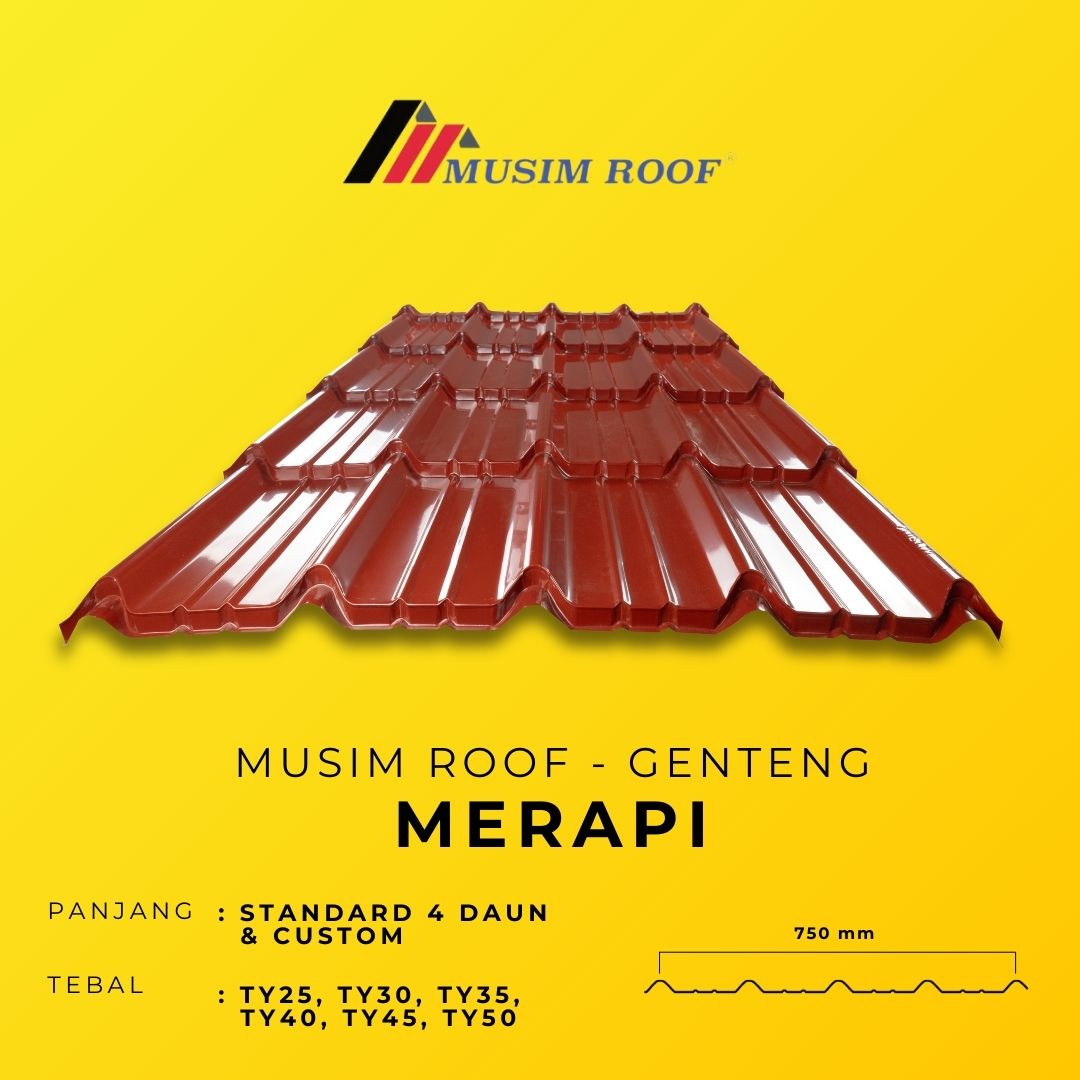 MERAPI