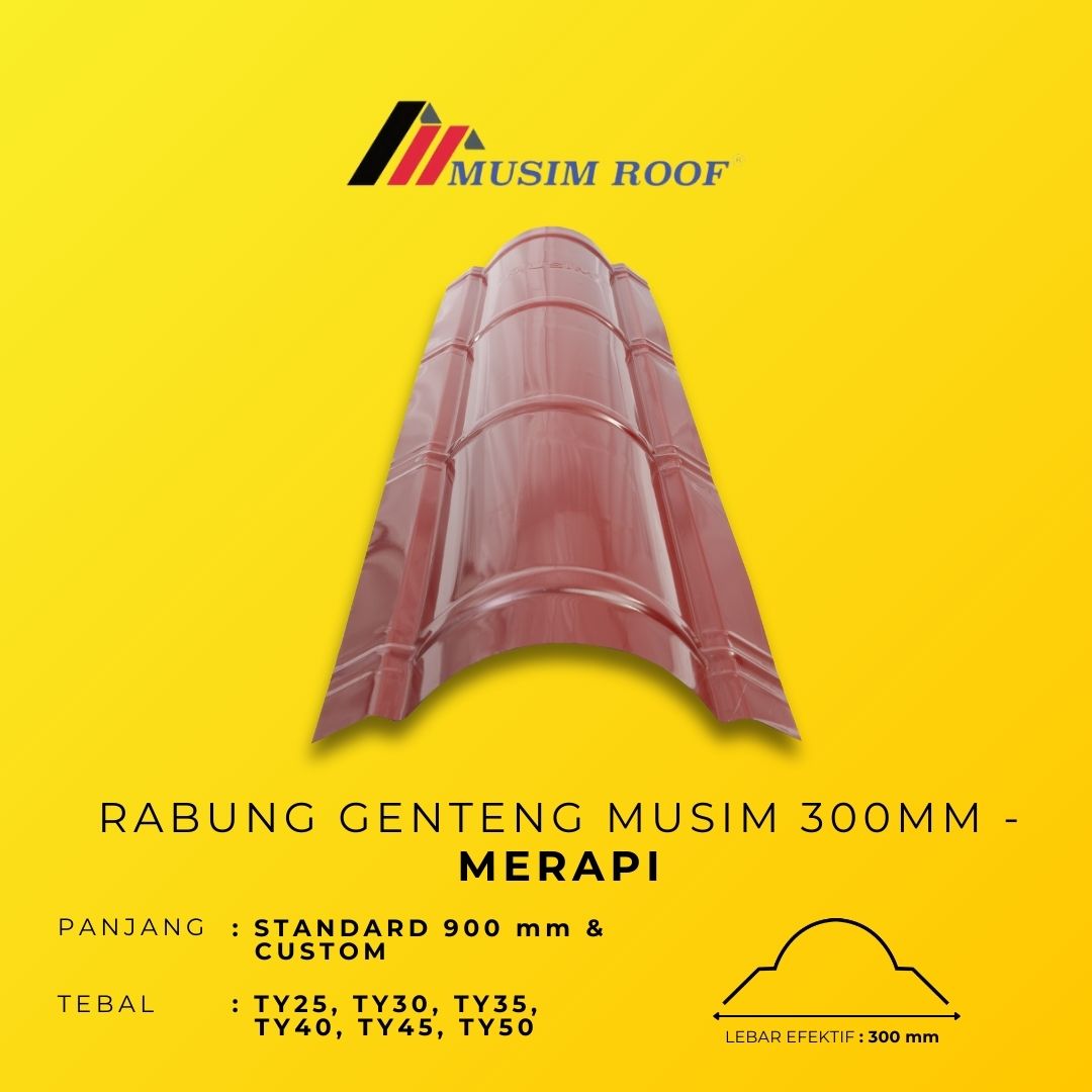 MERAPI